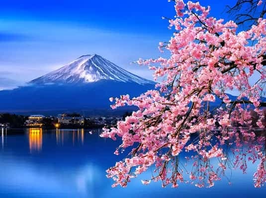 Tokyo to Mount Fuji A Full Day Private Tour From Tokyo