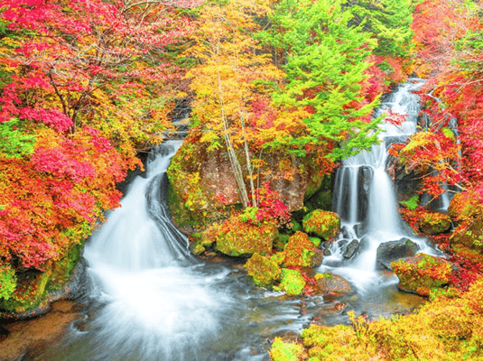 From Tokyo: Nikko Full Day Private Tour with English Guide