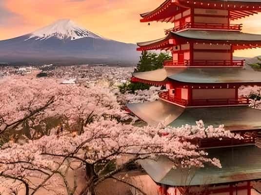 Tokyo: Mount Fuji and Hakone private sightseeing tour